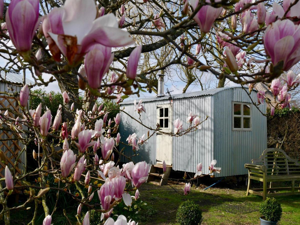 The Wayside Shepherd Hut Beaulieu Buitenkant foto