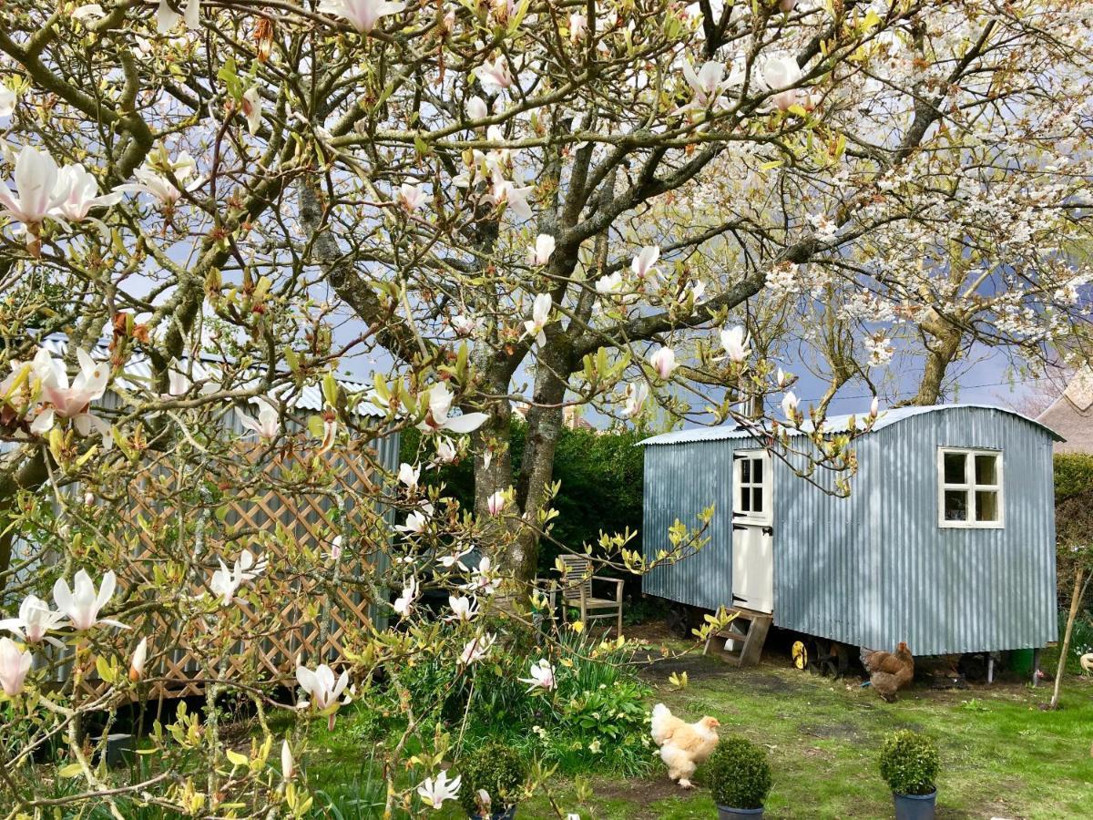 The Wayside Shepherd Hut Beaulieu Buitenkant foto
